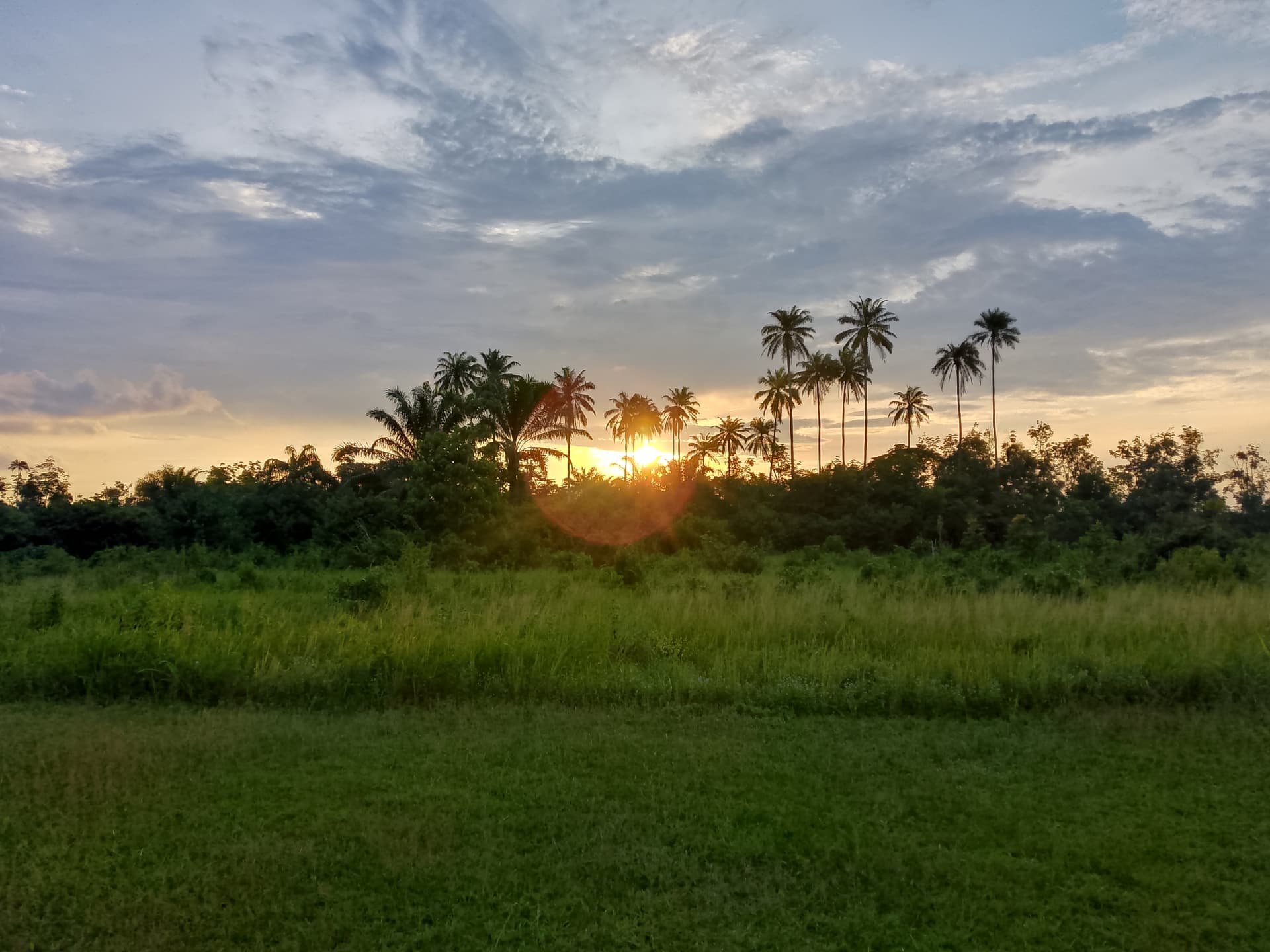 Sunset landscape in Delta State